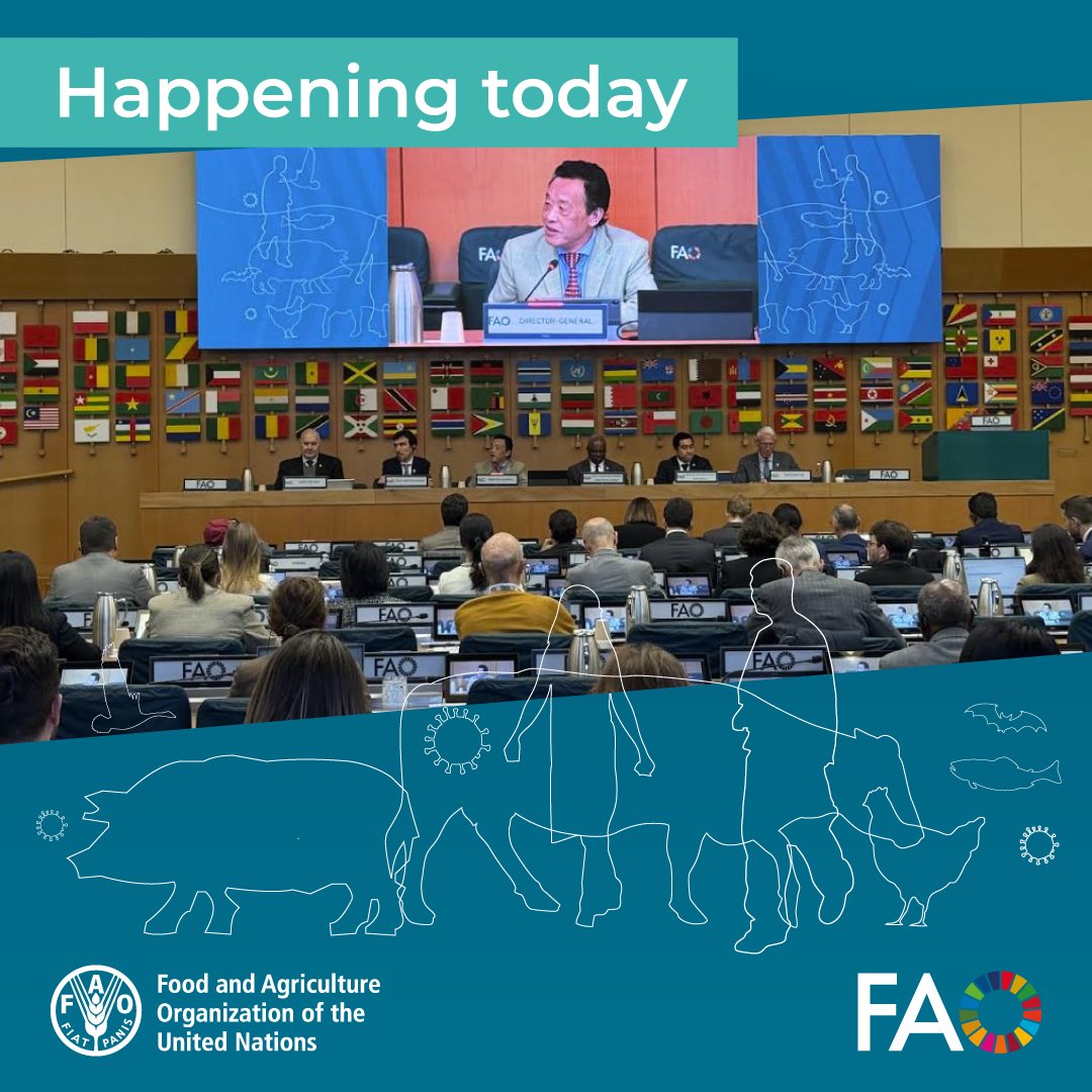 FAO Livestock tweet media