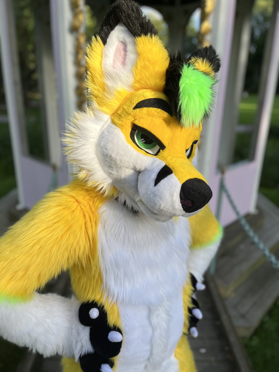 Well, aren't you just a ray of sunshine 💛

📷: <a href="/DoggoShayed/">Shay 💜</a>