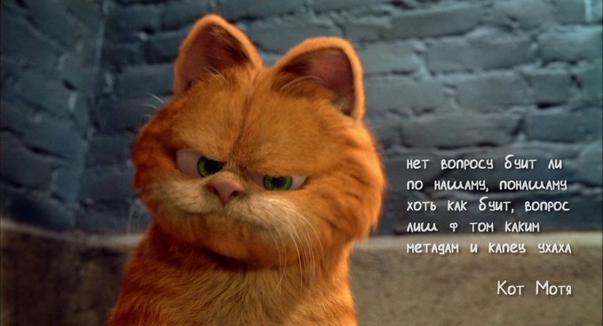 <a href="/katMotja/">Кот Мотя</a> Христос Воскресе! 
Любимый Мотя! 
Спасибы тибе прикраснийшый Кот! 
Быстрея пчёлинья пусть убигають
И будуть лехшы лёхкава!