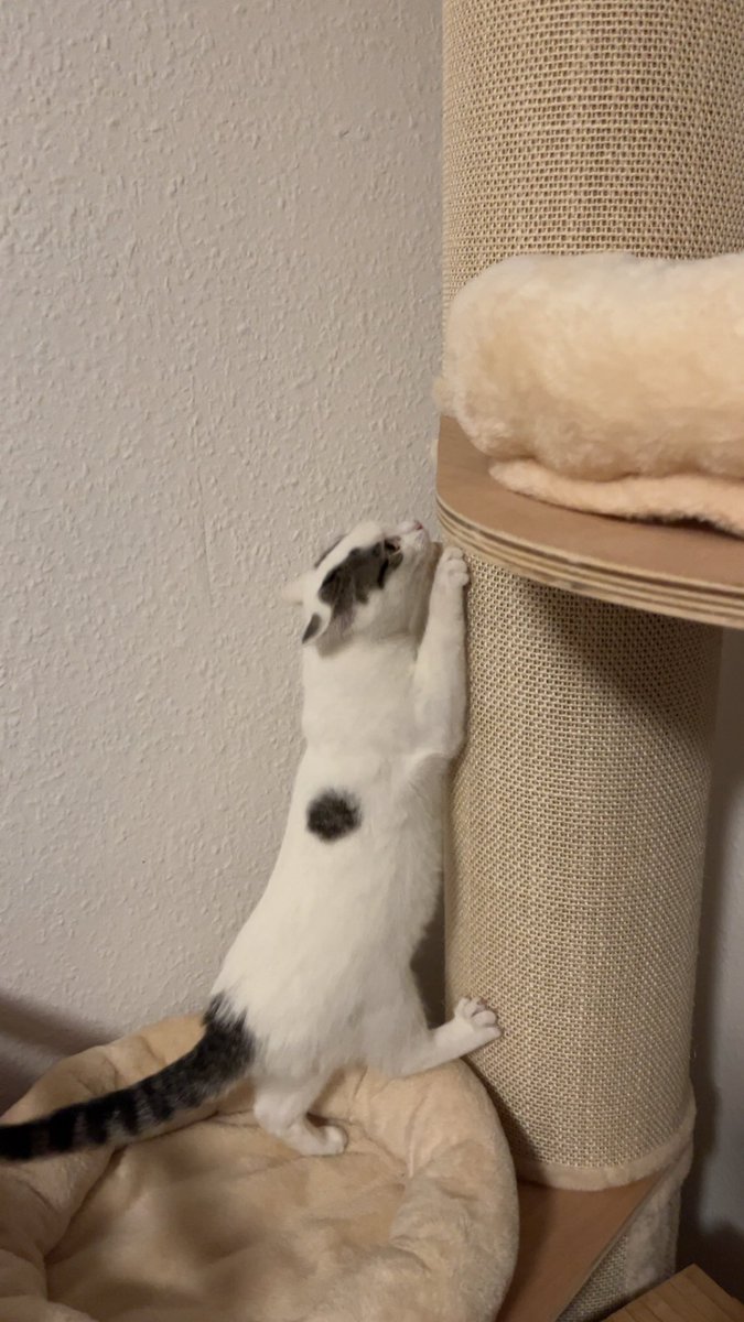 Auch mal durchdrehen