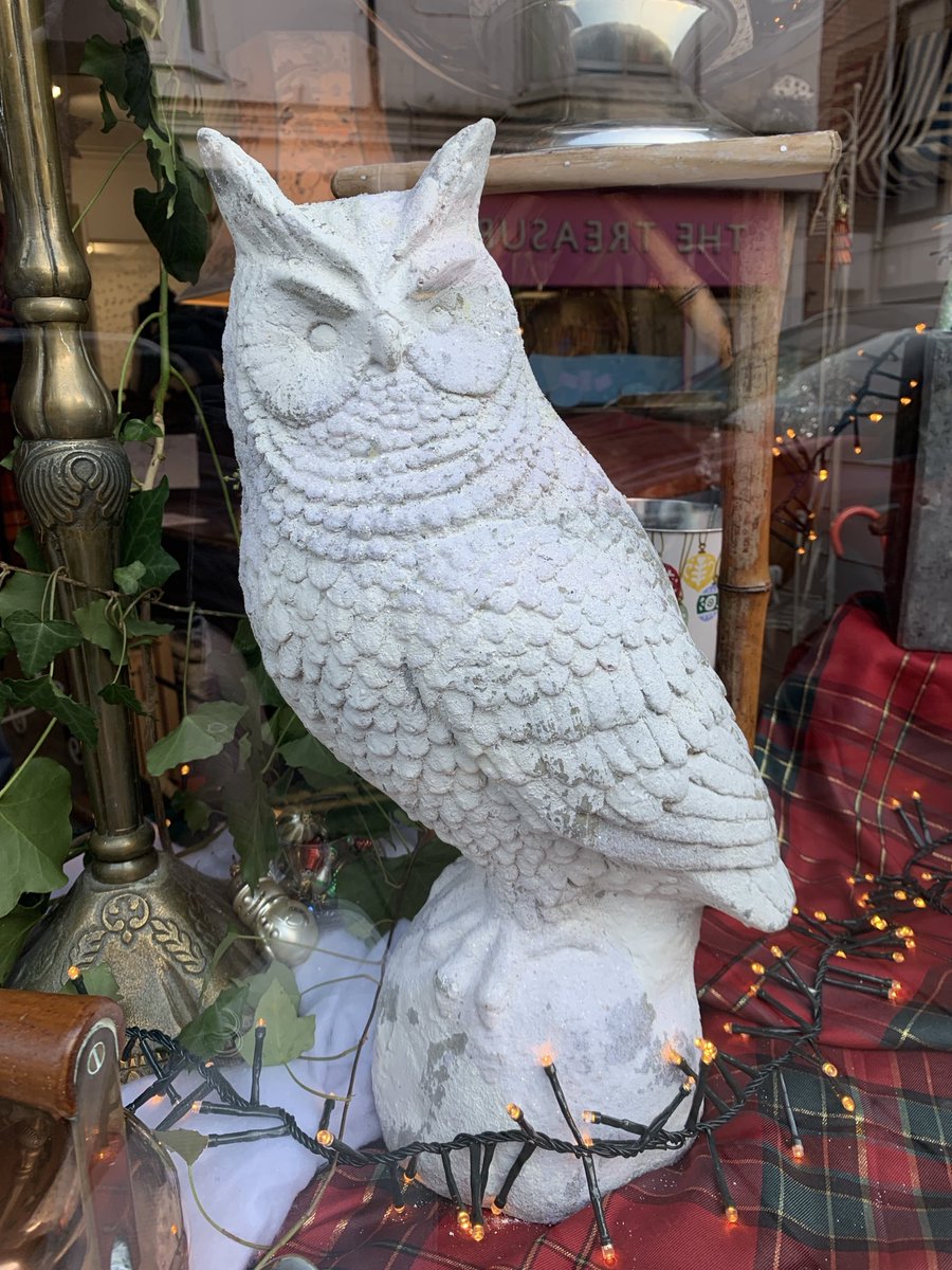 JBPhotos_UK's tweet image. I think this is a hoot…
#WeekVforVowels #AlphabetChallenge