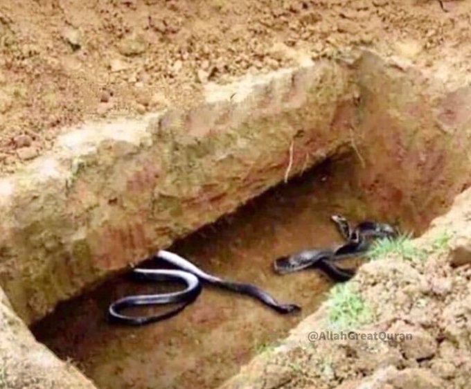 AllahGreatQuran's tweet image. Ya Allah, save us from the punishment in grave. Say Ameen