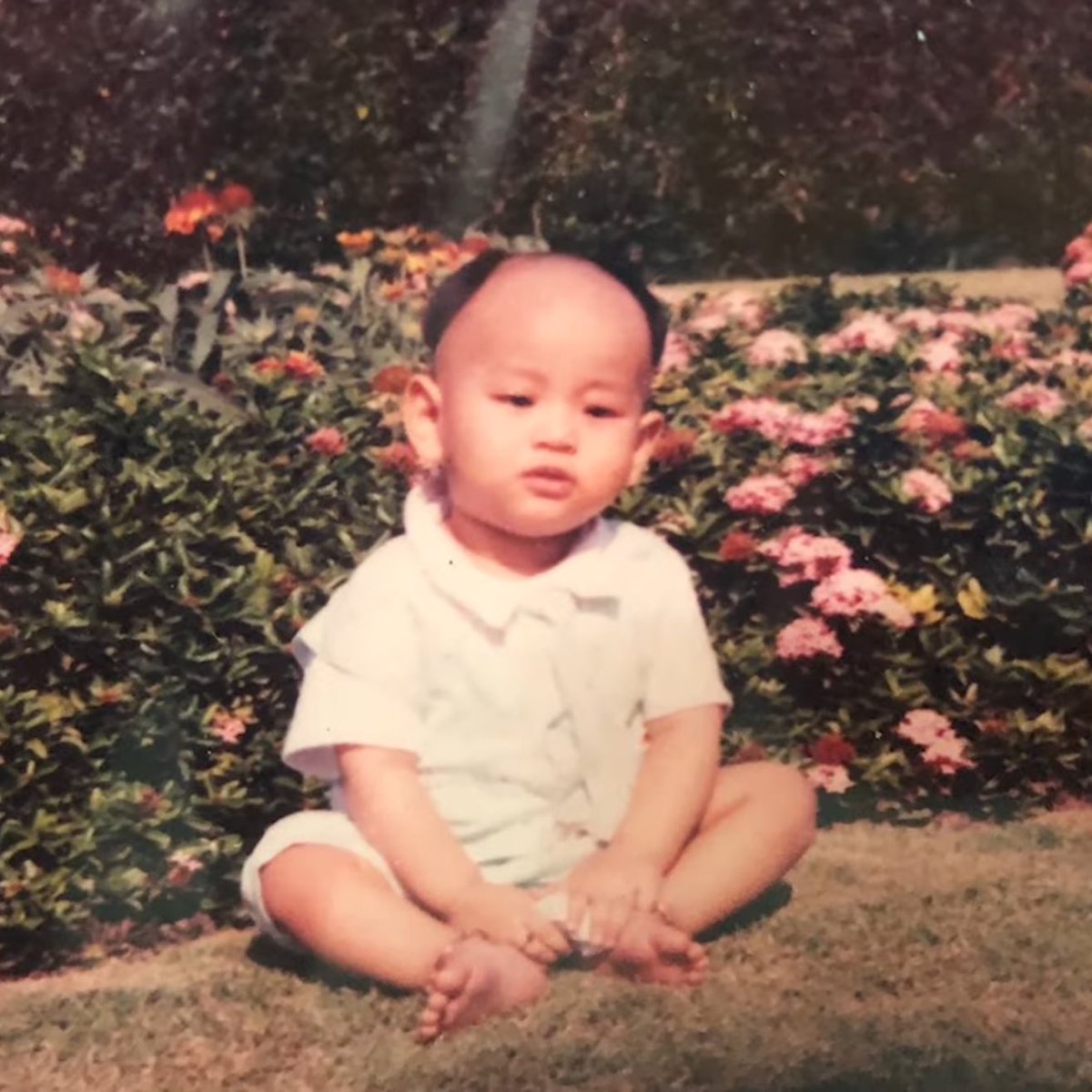 poster555 tweet media