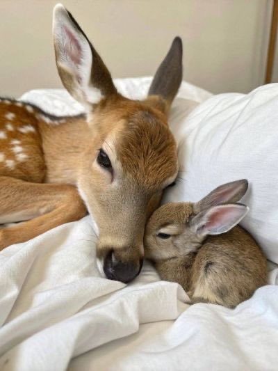 lottiesdiaz's tweet image. eddie and chris