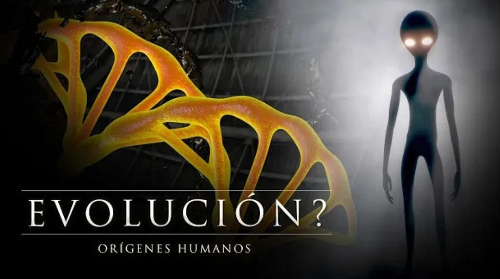 Metapolitica76's tweet photo. LA AGRICULTURA UNA INTERVENCIÓN EXTRATERRESTRE - DOCUMENTAL
¿Cuándo aprendieron los humanos a cultivar la tierra?, ¿Cuándo los humanos aprendieron a hacer preguntas, a pensar en términos abstractos y a realizar proezas de ingeniería?, ¿Cuándo aprendieron los humanos a archivar y a construir su conocimiento colectivo? La memoria ancestral de los pueblos posee las claves para comprender los orígenes humanos. Importante documental qué ayuda a reforzar el estudio en la Sabiduría Hiperbórea.                                                                                       https://t.co/W3yVlQa9Cx