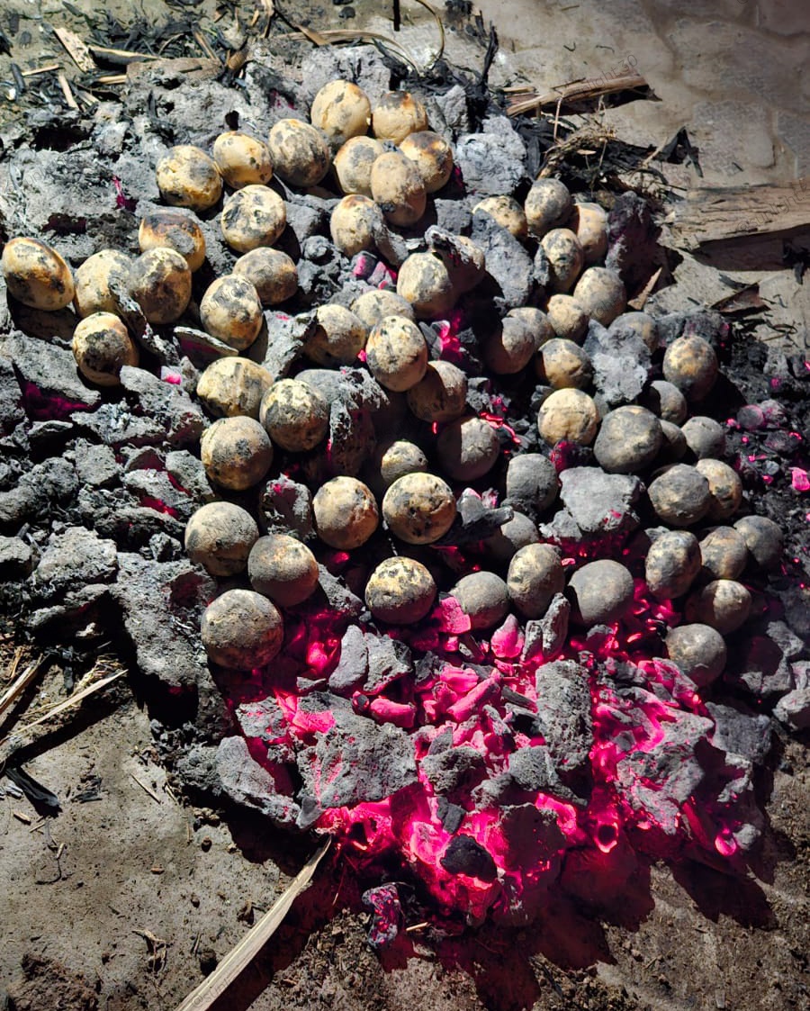 🔥 गाँव वाली असली फील 🔥
अंगारों पर सिकती लिट्टी, ऊपर से देसी घी की खुशबू और दिल में बचपन की यादें।

जिसने ऐसी लिट्टी नहीं खाई, उसने ज़िंदगी का असली स्वाद ही कहाँ चखा! 😋✨

#LittiChokha #DesiVibes #GaonKaSwad