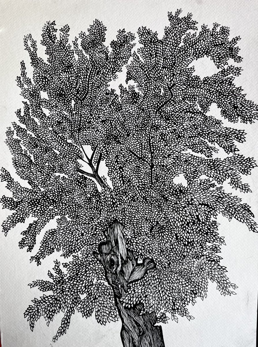 verknfts8's tweet image. Nature creates endlessly, while art tries to capture its moments.🪷