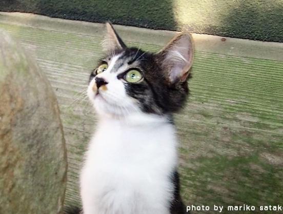 コーヒー淹れよ〜静かに過ごそ 😴