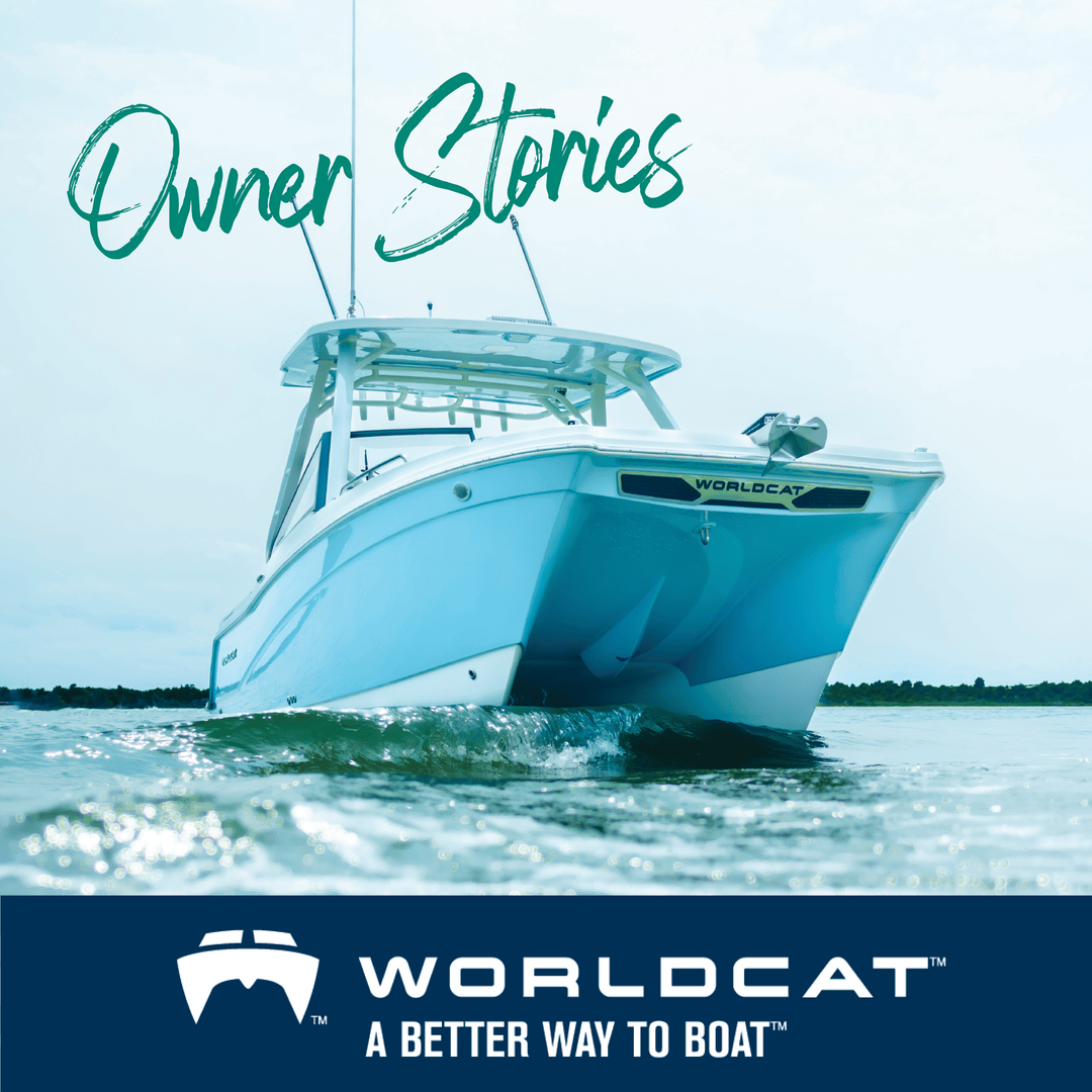 World Cat Boats tweet media
