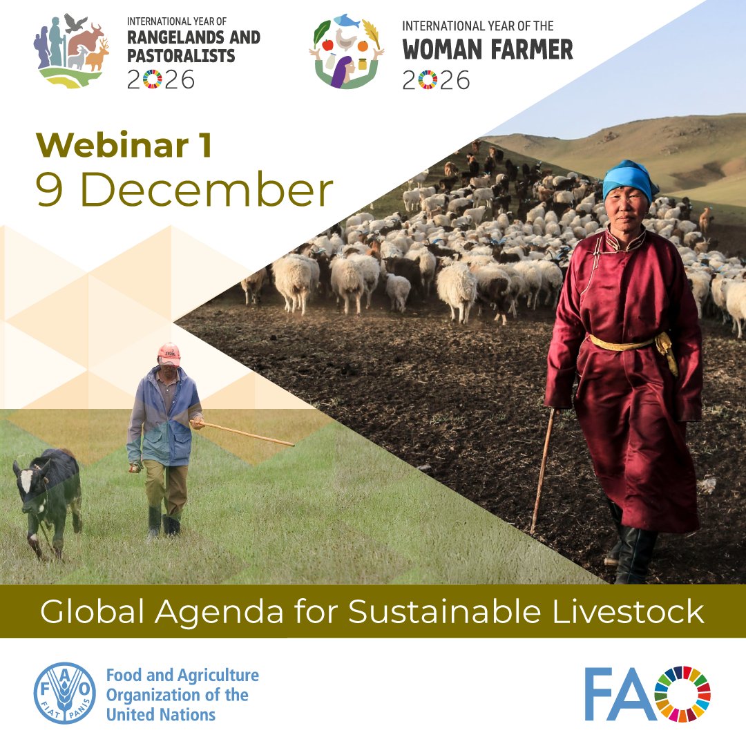FAOLivestock's tweet photo. 📢 SAVE THE DATE
#GASL webinar series for #IYRP26 &amp; #IYWF26!
N.1 - Innovating Governance for Sustainable Rangelands and Pastoralist Livelihoods.

📅 9 December
🕑 3pm CET
📍 Register here https://t.co/xbLCLJsWD3 https://t.co/xAqvV4UFql
