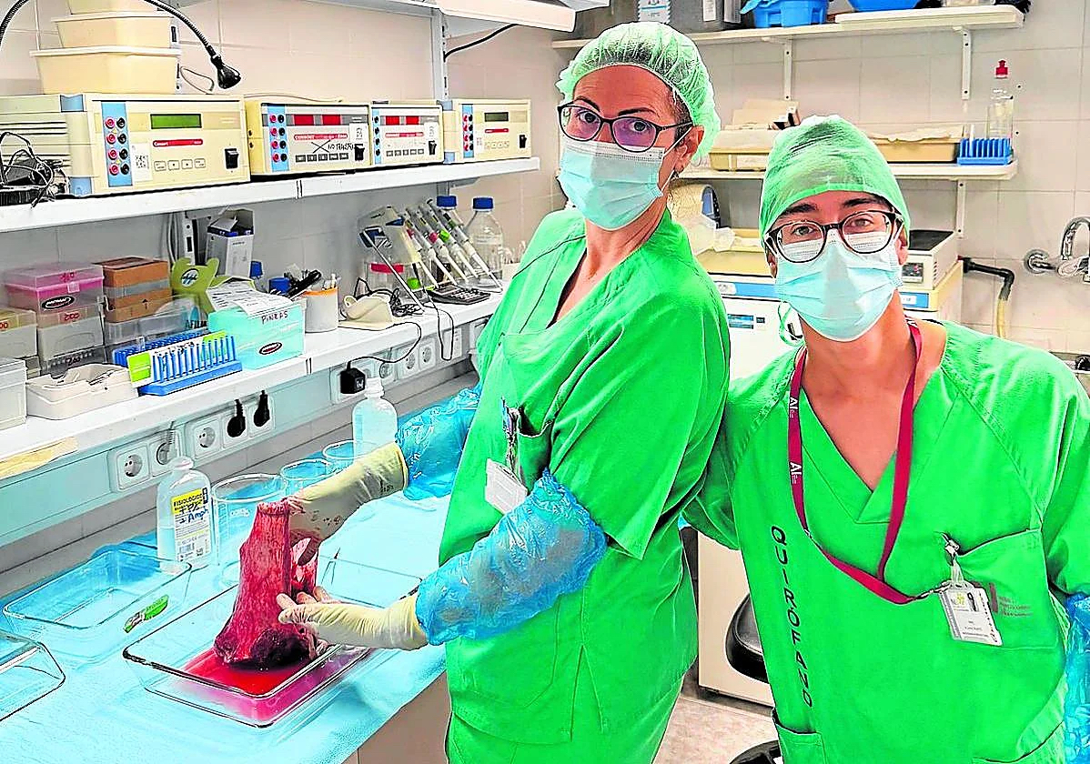 🦶💙 Un nuevo horizonte para la úlcera de pie diabético: cuando la ciencia regenera lo que la diabetes destruye.

laverdad.es/ababol/ciencia…