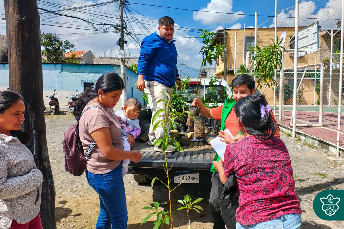 Entregamos árboles frutales en San Mateo Milpas Altas, Santa Catarina Bobadilla y San Juan del Obispo 🌱✨ Una acción que impulsa sistemas agroforestales y fortalece a nuestras comunidades. 🍃💛

#MunicipalidadDeAntiguaGuatemala