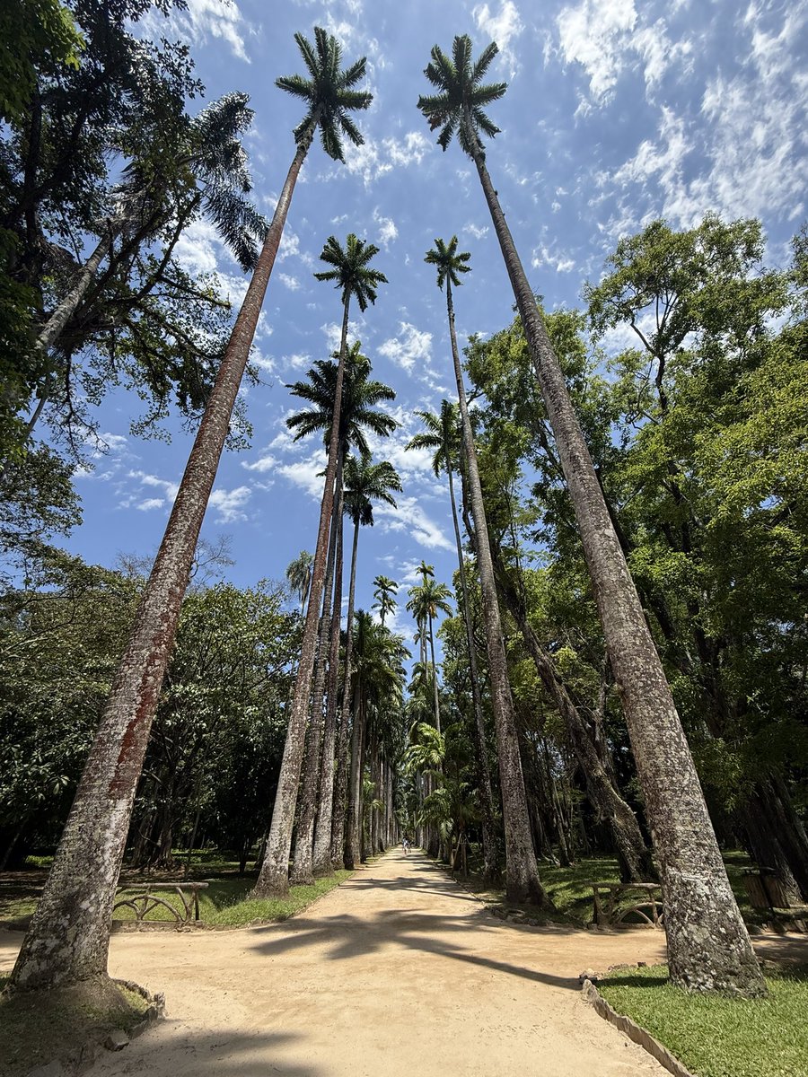 cbsmariana's tweet image. esse ddd continua lindo ou sempre foi? ☀️🌴