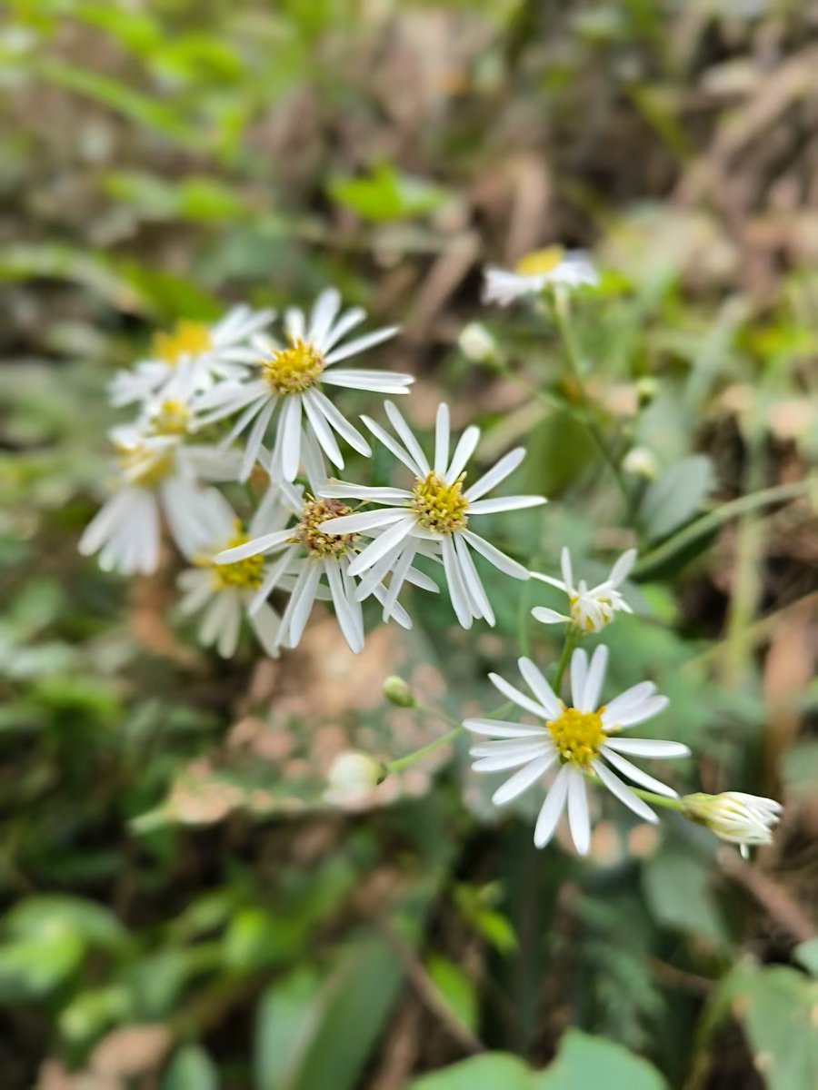 wdr2oversea (@wdr2oversea) on Twitter photo 