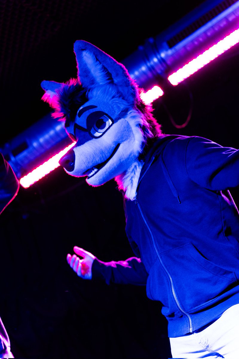 🪩🎵🕺 #FursuitFriday 
📸: <a href="/HypiTheFox/">Hypi</a>