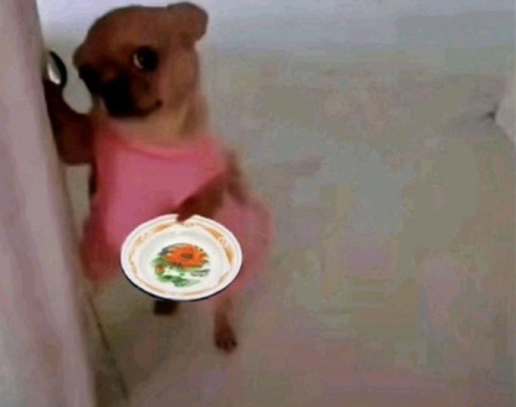 BMS | JOEL ZEPPELI 🇨🇮 tweet media