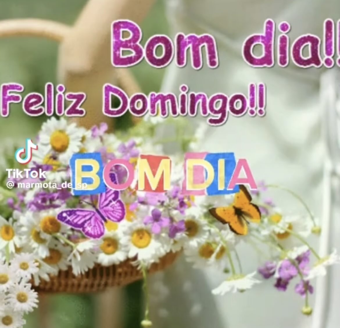 rossi_sanches's tweet photo. @_decaaa https://t.co/C5pXeILEvf