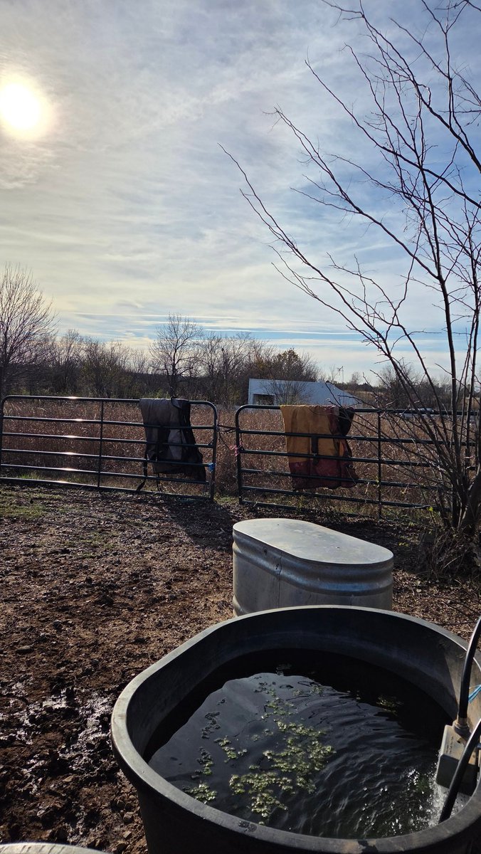 DragonStables's tweet photo. Blankets are out at the gates, ready or not its coming, so we are trying to be ready..
We would also appreciate some @ChickSaddlery gift certificates for Christmas, we have found some new blankets that we think will hold up well on them https://t.co/OTLjXAm9qI