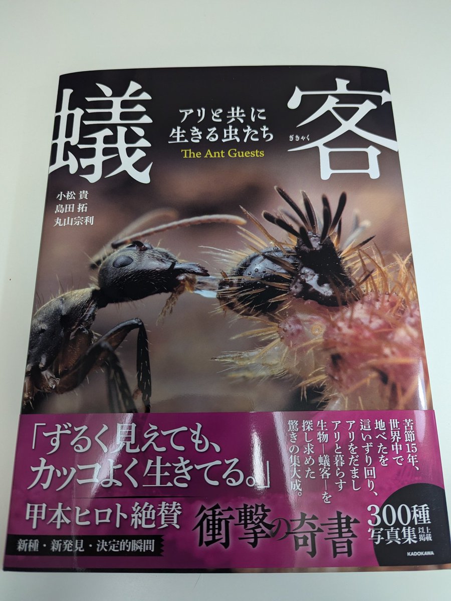 やっと手に入れた！自分も蟻客になった気分で読み惚れてまう…こんな大業為し得てみたいものだ
しかも甲本ヒロトまで…推ししかない🫰🏻
#蟻客