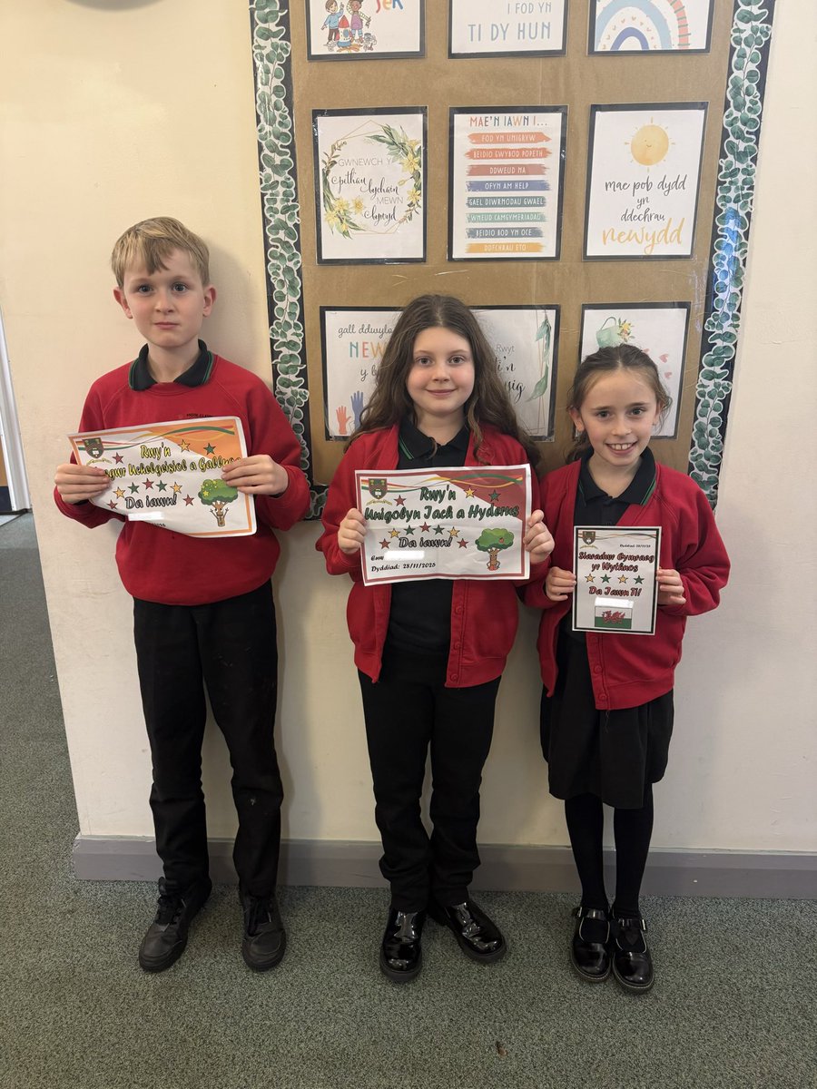 Dosbarth Barcud tweet media