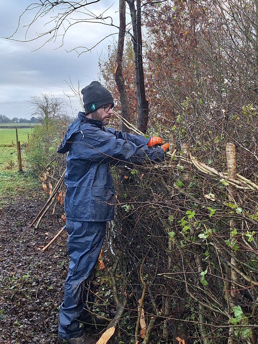 NBHS_Ireland's tweet photo. Another #NBHS workshop for Introduction to Hedge Laying at the RHSI Bellefield, Co. Offaly w/ @hedgerows_ie &amp; @rhsirl Bellefield. Led by master hedge layer Eoin Donnelly. Thanks to all who took part! If you are interested join our mailing list, email vernacular@housing.gov.ie https://t.co/NSggl0m0RU