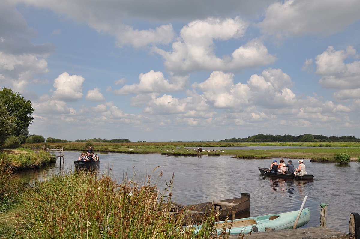 CLL49's tweet photo. Sélection de zones humides d'#Europe. #Vendredi La Brière est un #marais situé au nord de l'estuaire de la Loire à l'ouest de la Loire-Atlantique🇫🇷 Elle s'étend sur 49.000 hectares dont 17.000 de zones humides. #Photographie #Photography via Wikipédia #Wetlands #Swamps https://t.co/6AvNFsyGTm