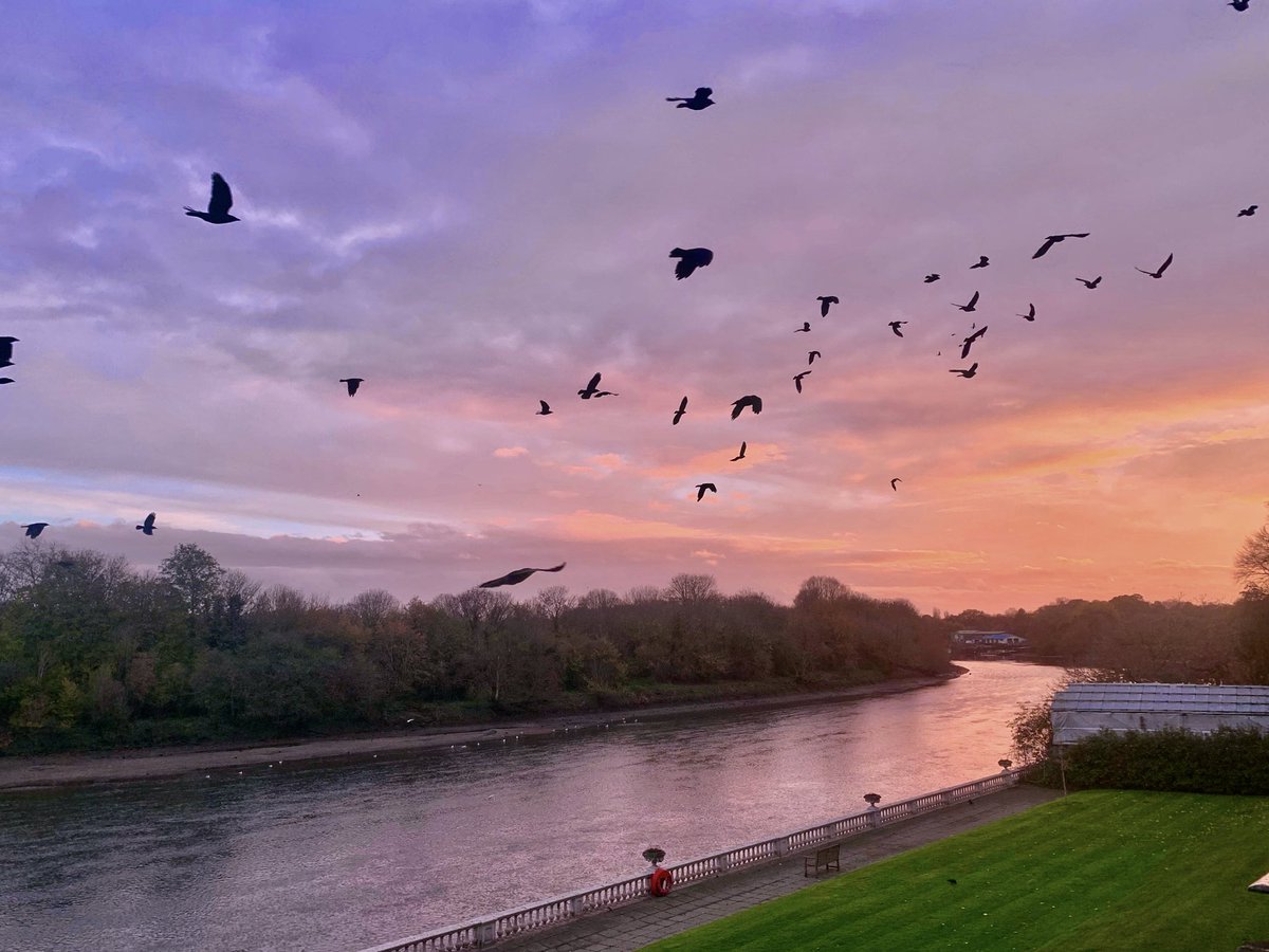 Ruth Wadey tweet media