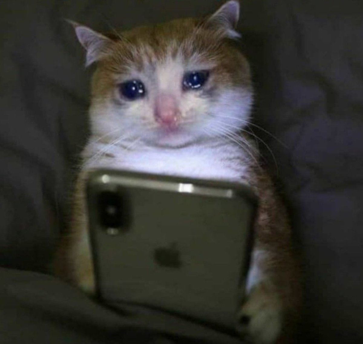 Las cuentas pequeñas publicando con cero interacción.