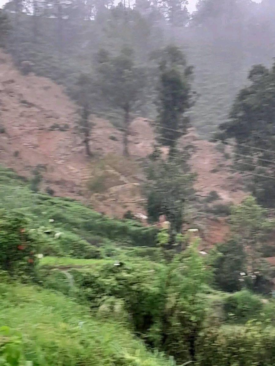 மலையக சகோதரி ஒருவரின் பதிவிலிருந்து 

எந்தவித உதவியும் இல்லாமல் இப்படி ஒரு சம்பவம் நடந்தது தெரியாமல் இந்த மண்ணுக்கு எத்தனை குடும்பங்கள் பலியாகி இருக்கிறது என்று கூட சரியாக தெரியவில்லை இணையவசதி இல்லை மின்சாரம் இல்லை யாருக்கும் தகவல் சொல்லும் அளவில் கூட யாரும் இல்லை