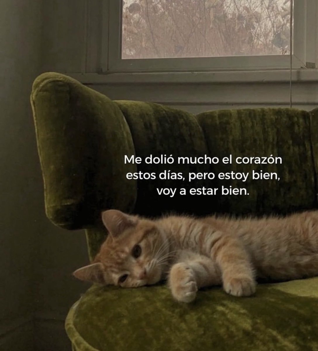 BANDIDOS (@bandidosfrasess) on Twitter photo 