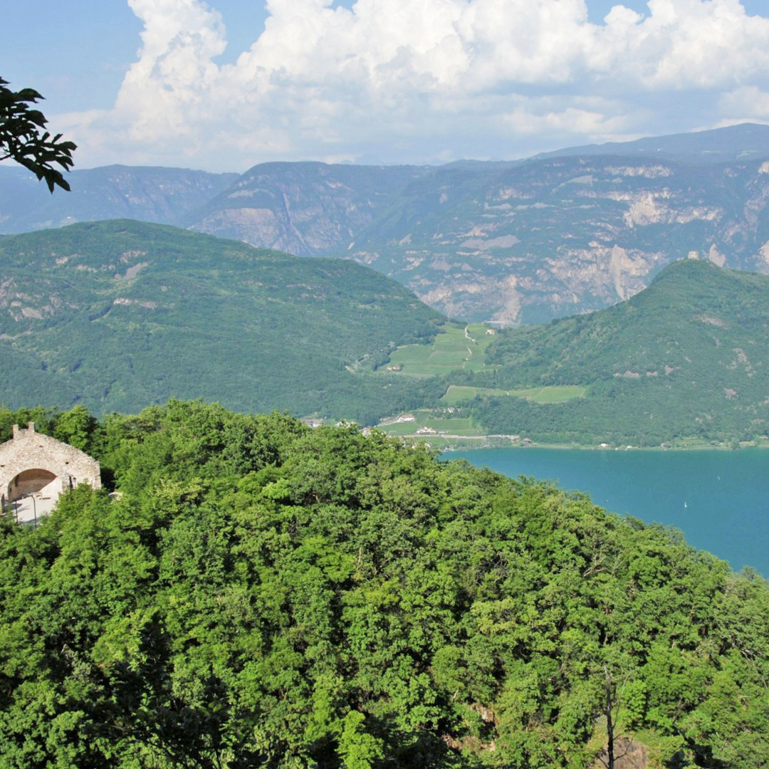 Bauernhofurlaub's tweet image. Frühstück unter Apfelbäumen, wandern durch Weinreben &amp;amp; in 15 Rad-Minuten am Kalterer See – das ist der 𝐊𝐫𝐢𝐬𝐭𝐚𝐥𝐥𝐡𝐨𝐟! 🍏🚴‍♂️ 

👉 tinyurl.com/kristallhof

#Kristallhof #Kaltern #Südtirol
