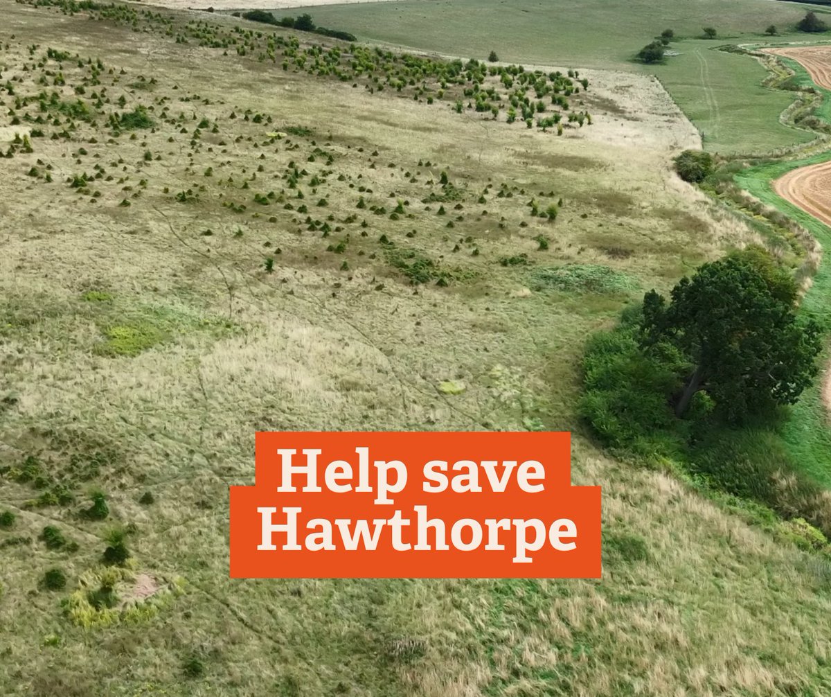 Lincs Wildlife Trust tweet media