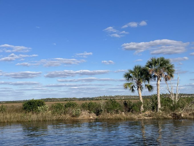 StarryEyes tweet media