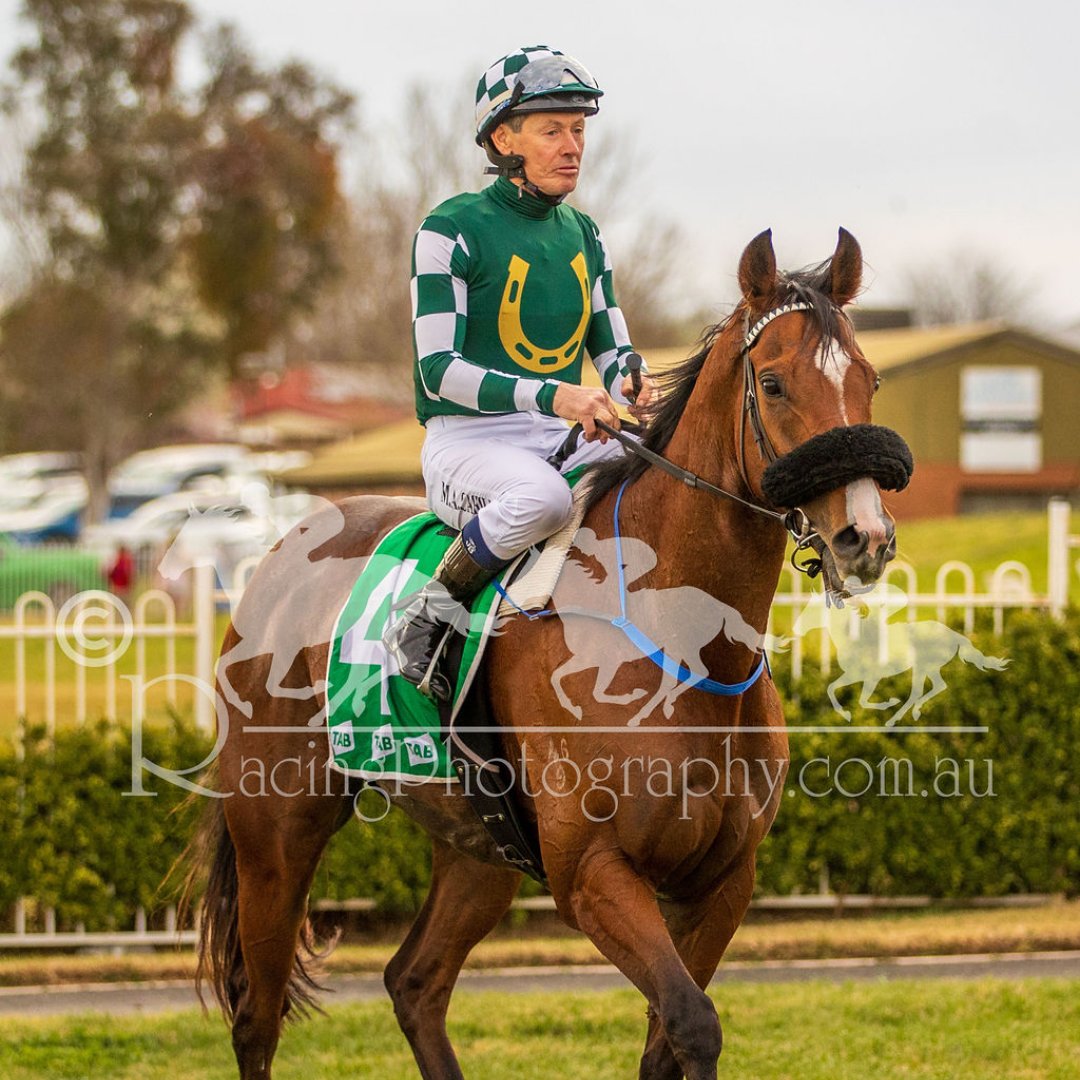 AttungaRacing's tweet image. Talked to one of the owners of #CommandoJack tonight, man the friendship from the country people is wonderful this is the most enjoyable ownership group I've been with No doubt I'll race more with #Mudgee Trainer David J Smith 🍻 🍻 🏇