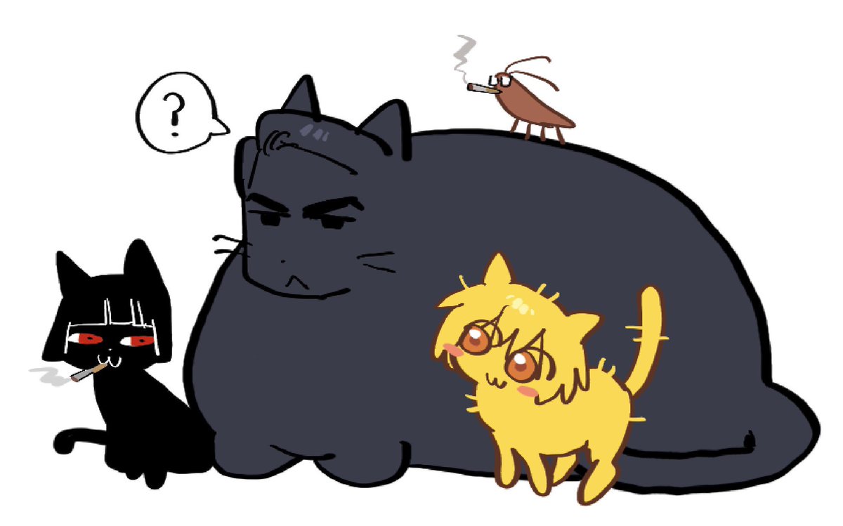 대두이화 (@stephe666q) on Twitter photo 