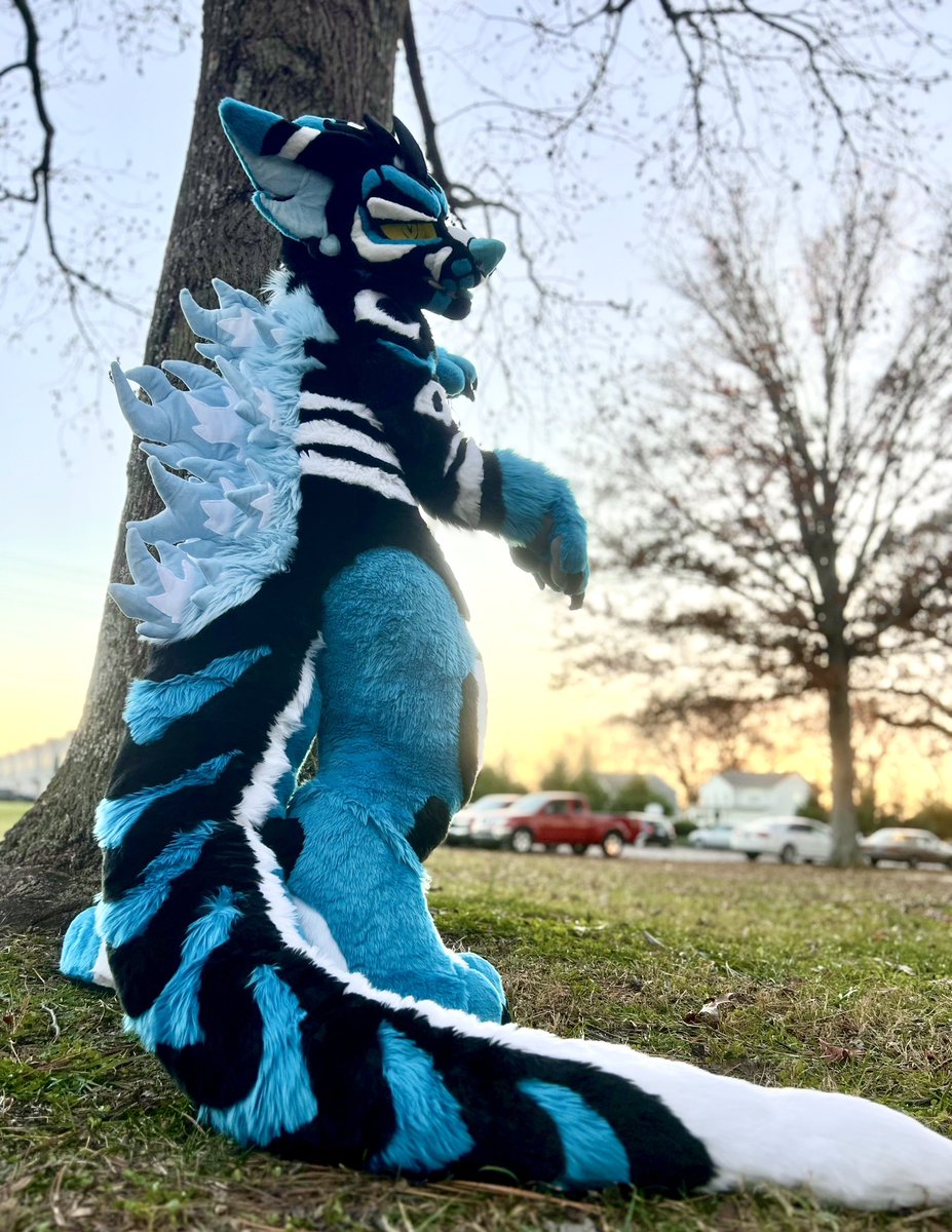 Whoa, that’s a big tail!! 

📸: <a href="/swimobe/">✨🐸 Roxy Woods 🐸✨</a> 

🌌 #FursuitFriday #furry #fursuit #kaiju 🌌