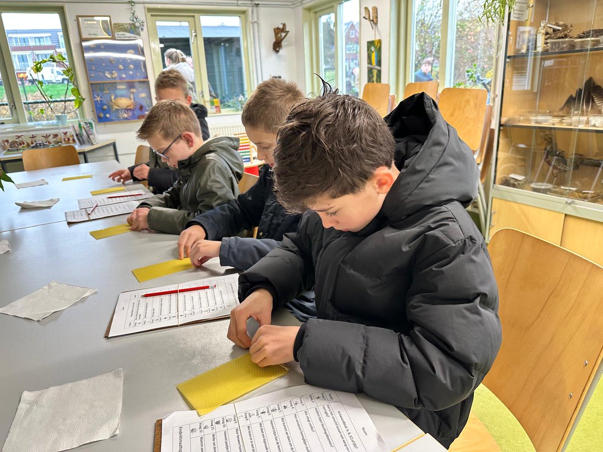 KB Dierendal tweet media
