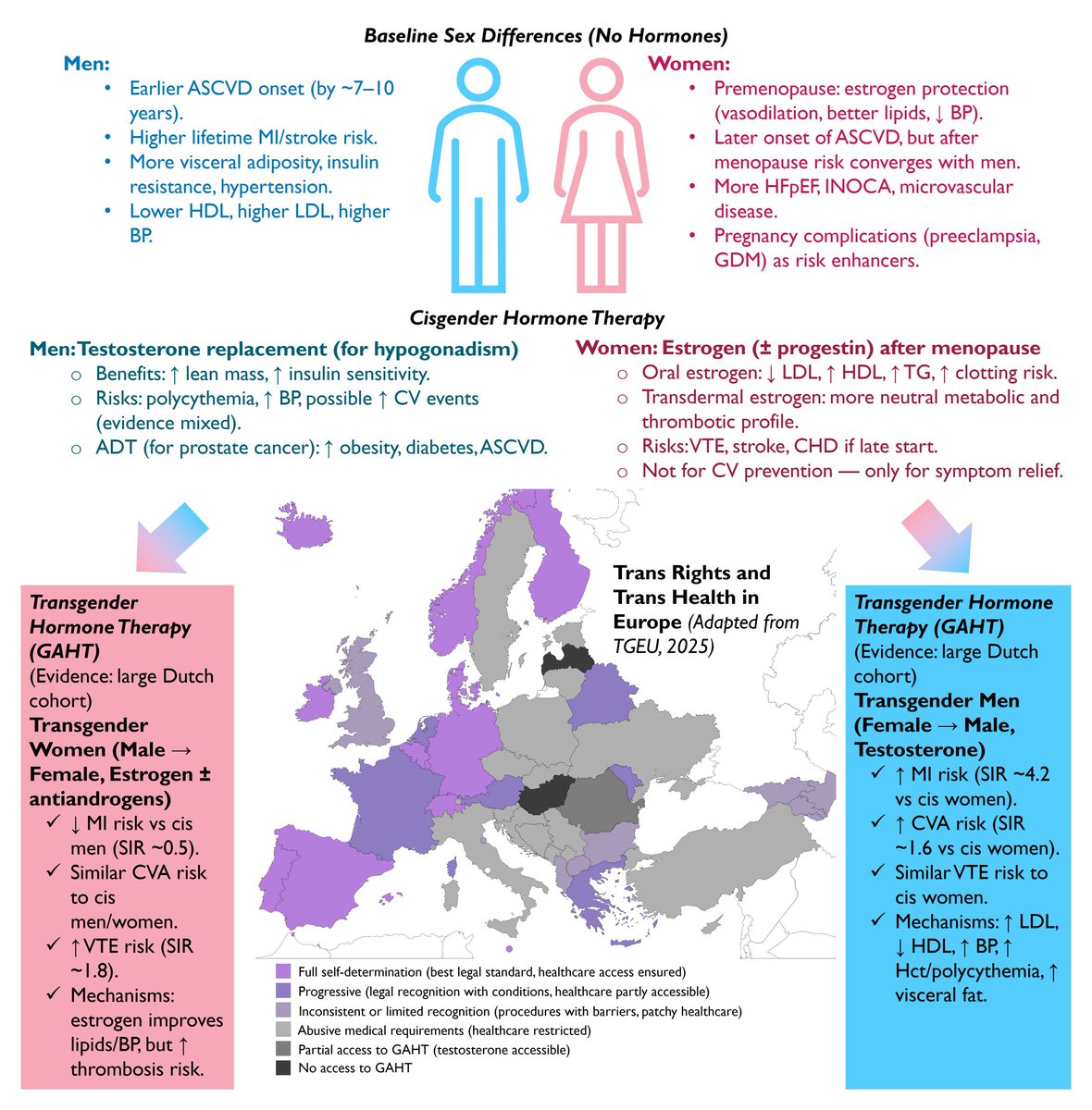 My new Eur Heart J editorial is out: “Walking the tightrope: balancing safety and risk in gender-affirming hormone therapy.”
A brief overview of new Dutch data on cardiovascular risks in transgender individuals and how to integrate prevention into GAHT.
doi.org/10.1093/eurhea…