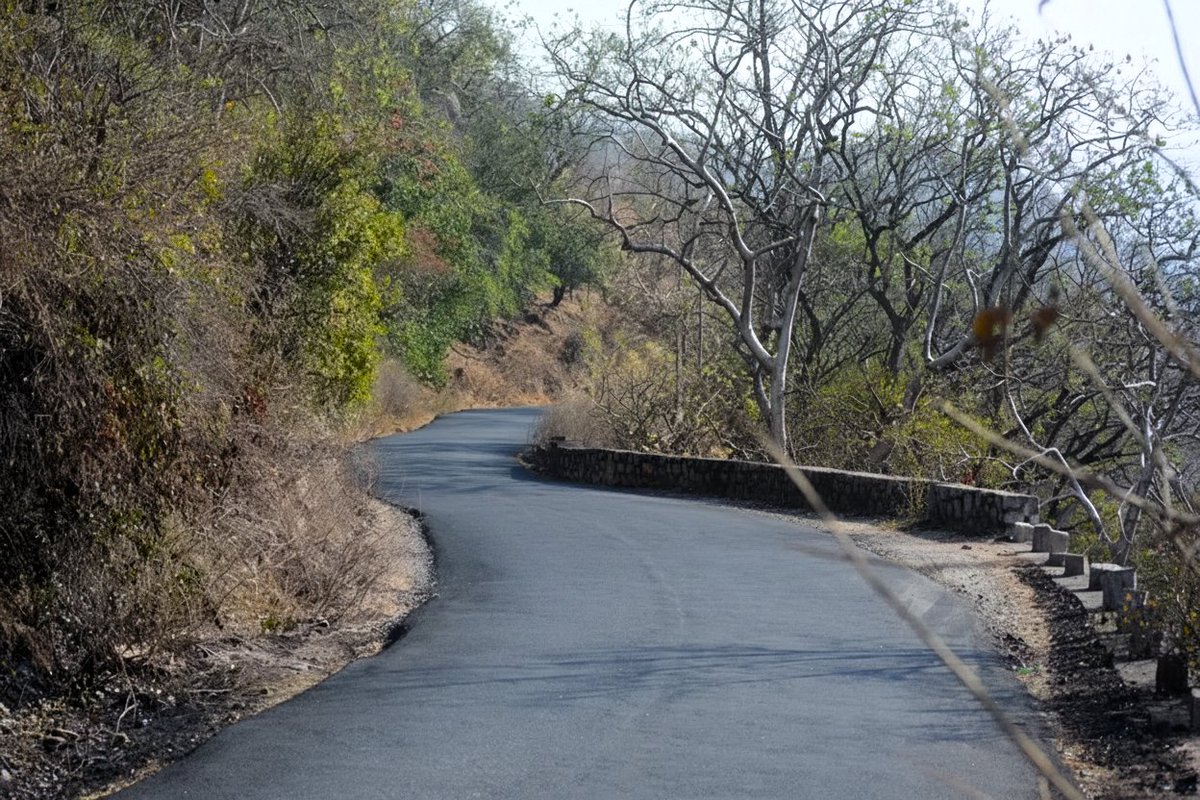 மல்லிகை முல்லையின் மாலைகளே
மார்கழி மாதத்து
காலைகளே சோலைகளே
என்றும் என்னைக் கூடாயோ.. 🚶🏼‍♂️