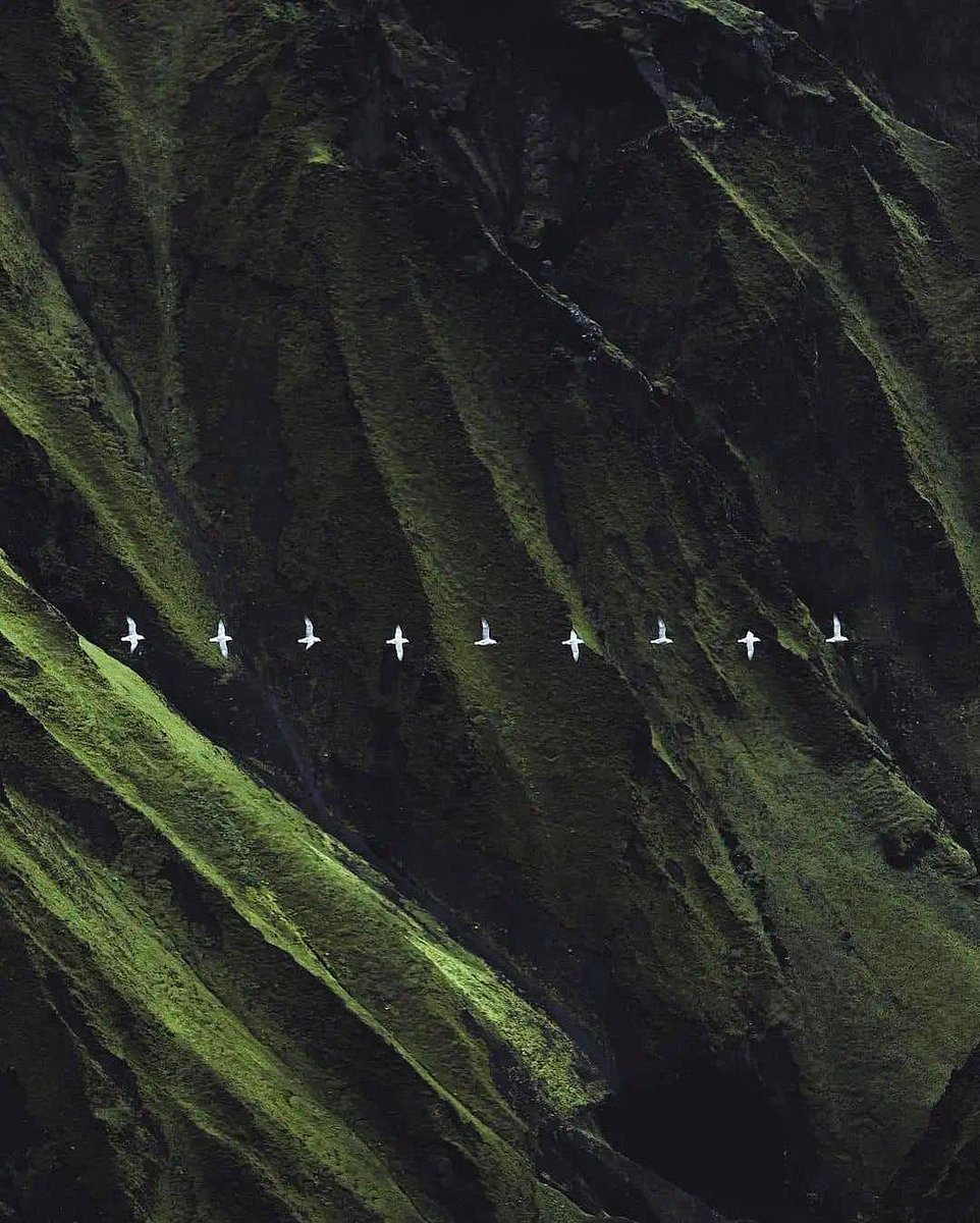 earthcurated's tweet image. Flying over the jurassic canyon of Iceland.