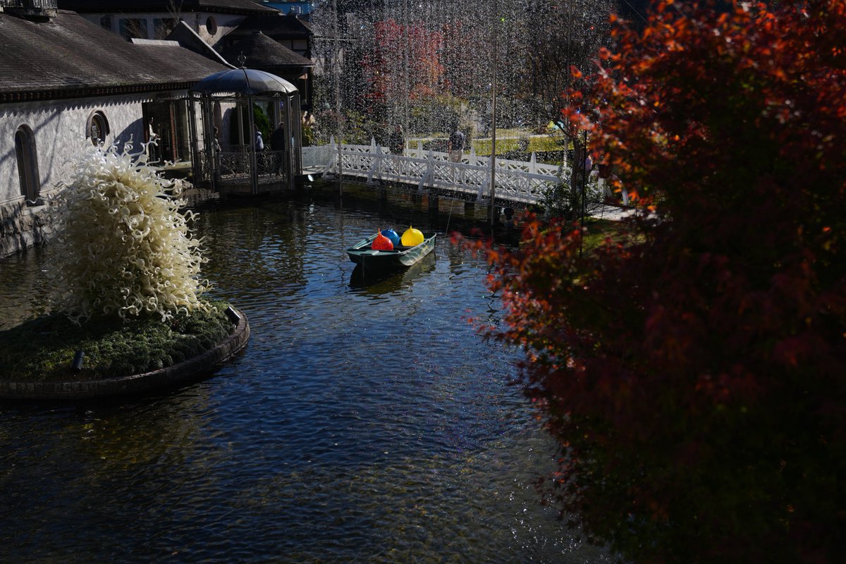D0310Star's tweet photo. とても、うちゅくしい
#秋 #紅葉 #写真 #SONY https://t.co/arzVez2vhS