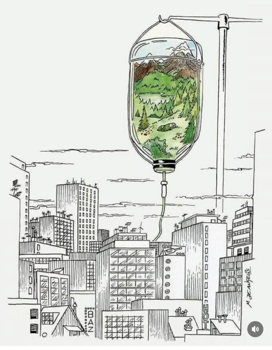 No estem dissenyats per a viure el ritme de ciutat continuament estressant.

Necessitem la natura per a respirar de veritat, per a recarregar-nos.

Tan simple i tan oblidat.
Sí, perquè la ciutat fabrica velocitat i la natura fabrica vida.

Pensem-ho. Ens cal trobar l’equilibri.💚