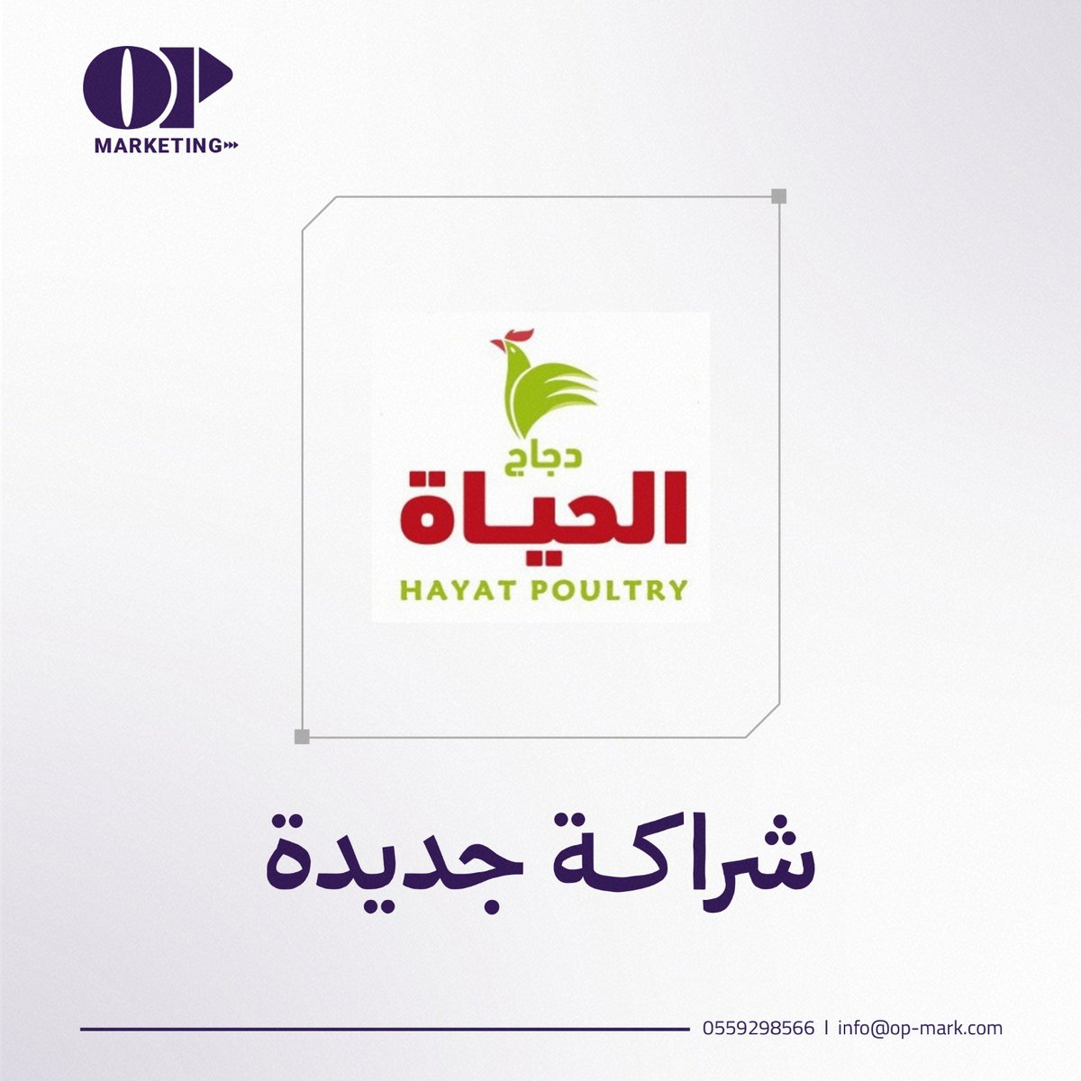 نرحّب بانضمام دجاج الحياة إلى قائمة شركائنا 💜
شراكة نسعد بها ونسعى من خلالها لتحقيق إنجازات مميزة سويًا 🤝
<a href="/DajajAlhayat/">شركة دجاج الحياة</a>