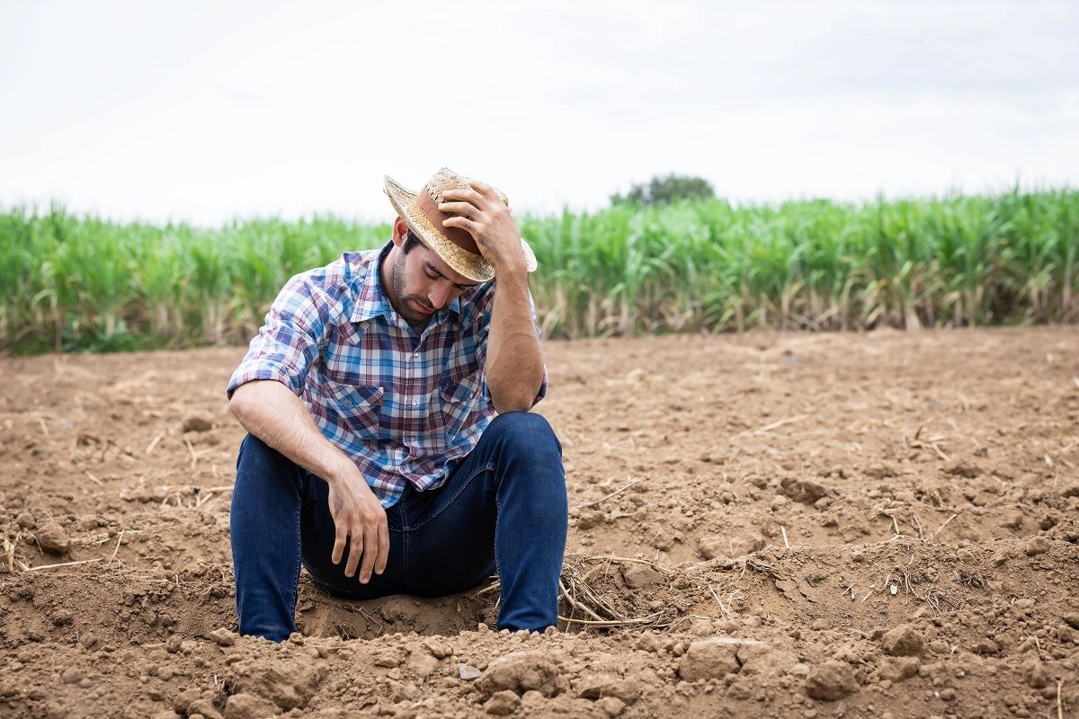 La proposition de loi du député Arnaud #Simion pour lutter contre le mal-être agricole ▶️ buff.ly/C8aisDI #PPL #agriculteurs #SantéMentale #AssembléeNationale <a href="/ArnoSimion/">Arnaud Simion</a>