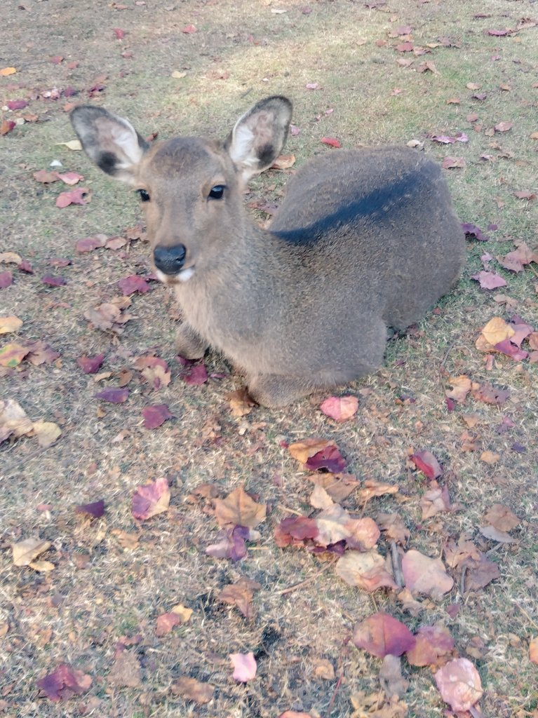 oinax3 (@oinax2) / Posts / X