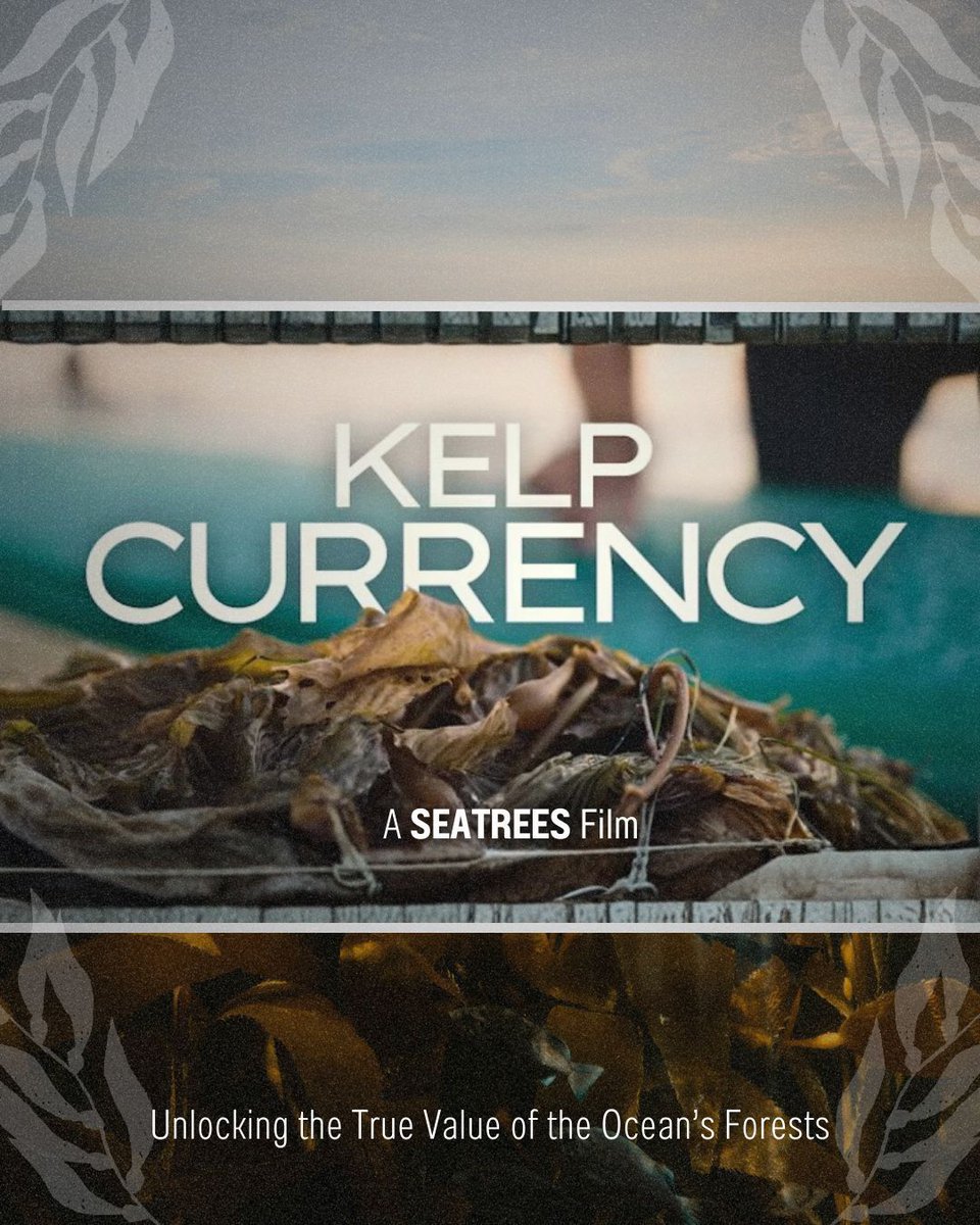 Salty_Cin's tweet photo. Salty Cinema will be screening Kelp Currency - a tale of the economic role of kelp and the collaboration between SEATREES and Scripps Institution of Oceanograph

RSVP in bio. 
Dec 3rd, 5-8pm

#SaltyCinema #MarineScience #OceanHealth #ClimateAction #LaJolla #UCSD #SanDiego https://t.co/9CBCwGJjDf
