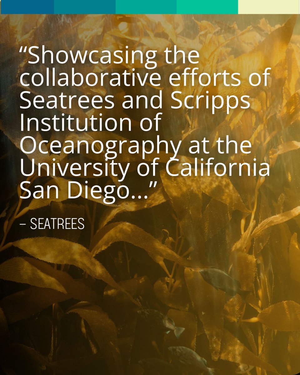 Salty_Cin's tweet photo. Salty Cinema will be screening Kelp Currency - a tale of the economic role of kelp and the collaboration between SEATREES and Scripps Institution of Oceanograph

RSVP in bio. 
Dec 3rd, 5-8pm

#SaltyCinema #MarineScience #OceanHealth #ClimateAction #LaJolla #UCSD #SanDiego https://t.co/9CBCwGJjDf