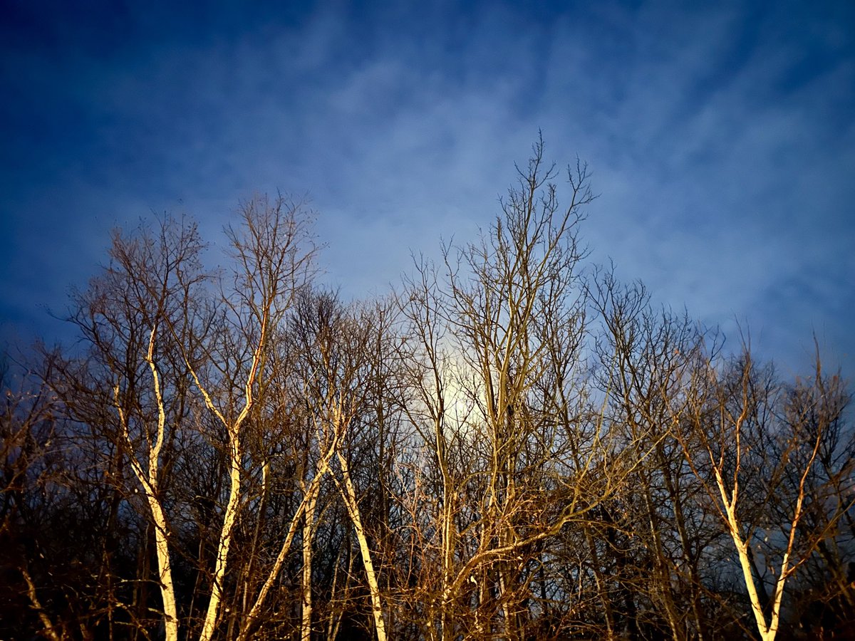 btleparadis's tweet image. Bonne soirée 💙🌙💙