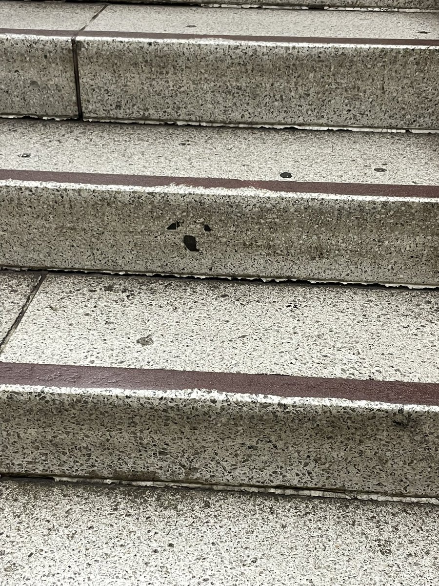 modose's tweet image. 電車で帰った時にこの情けないいっぬを見て癒されてる