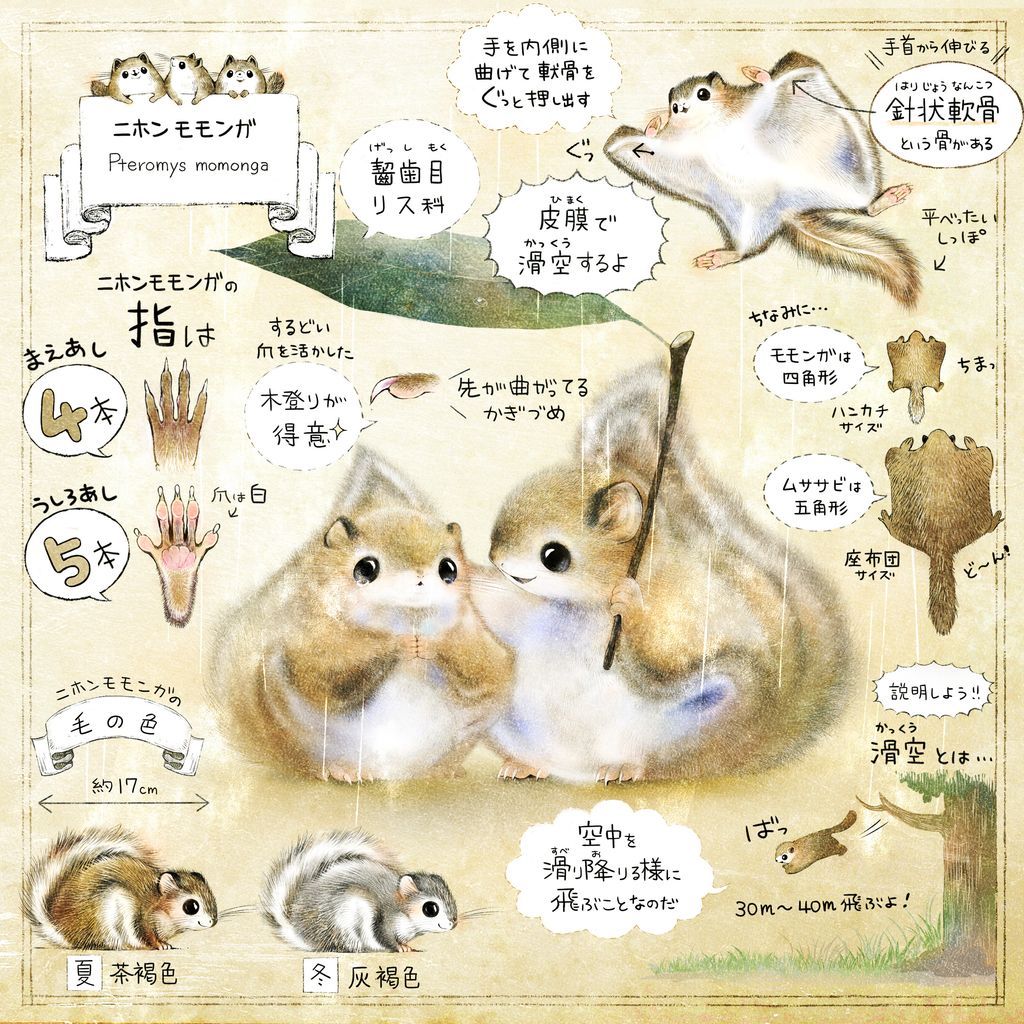 ForestStoryTime's tweet image. きょう11月29日は #いい肉球の日 とのことです。

日本の生きもの達の肉球🐾

さわり心地を想像しながら、
幸せな気持ちで描いてます。

ぷにぷに🐾